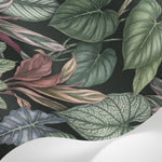 Papier peint panoramique jungle - Feuillage tropical singes philodendron calathea fond noir profond sur mesure - Matière