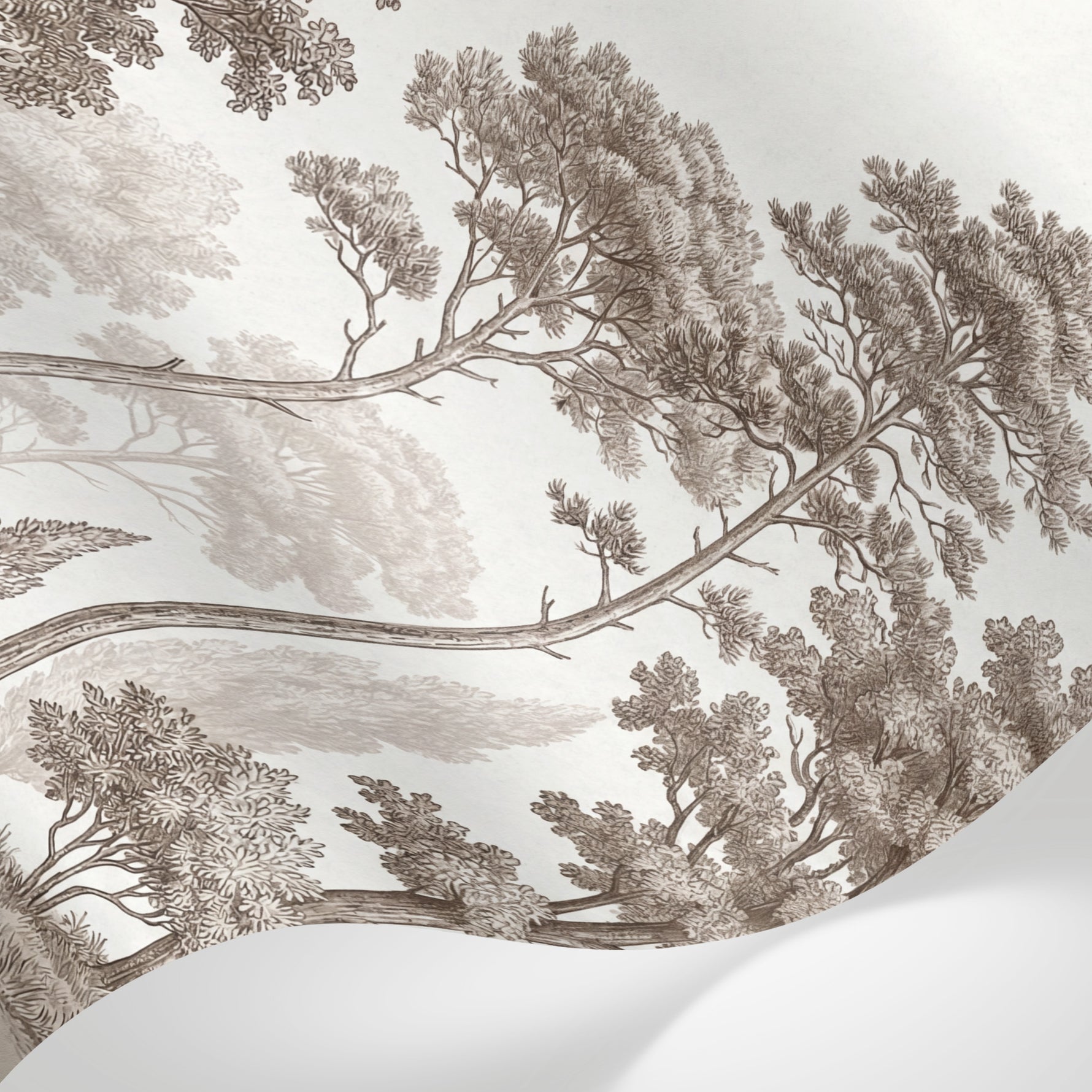 Papier peint panoramique jungle - Forêt tropicale gravure botanique tons sépia beige et brun sur mesure - Matière