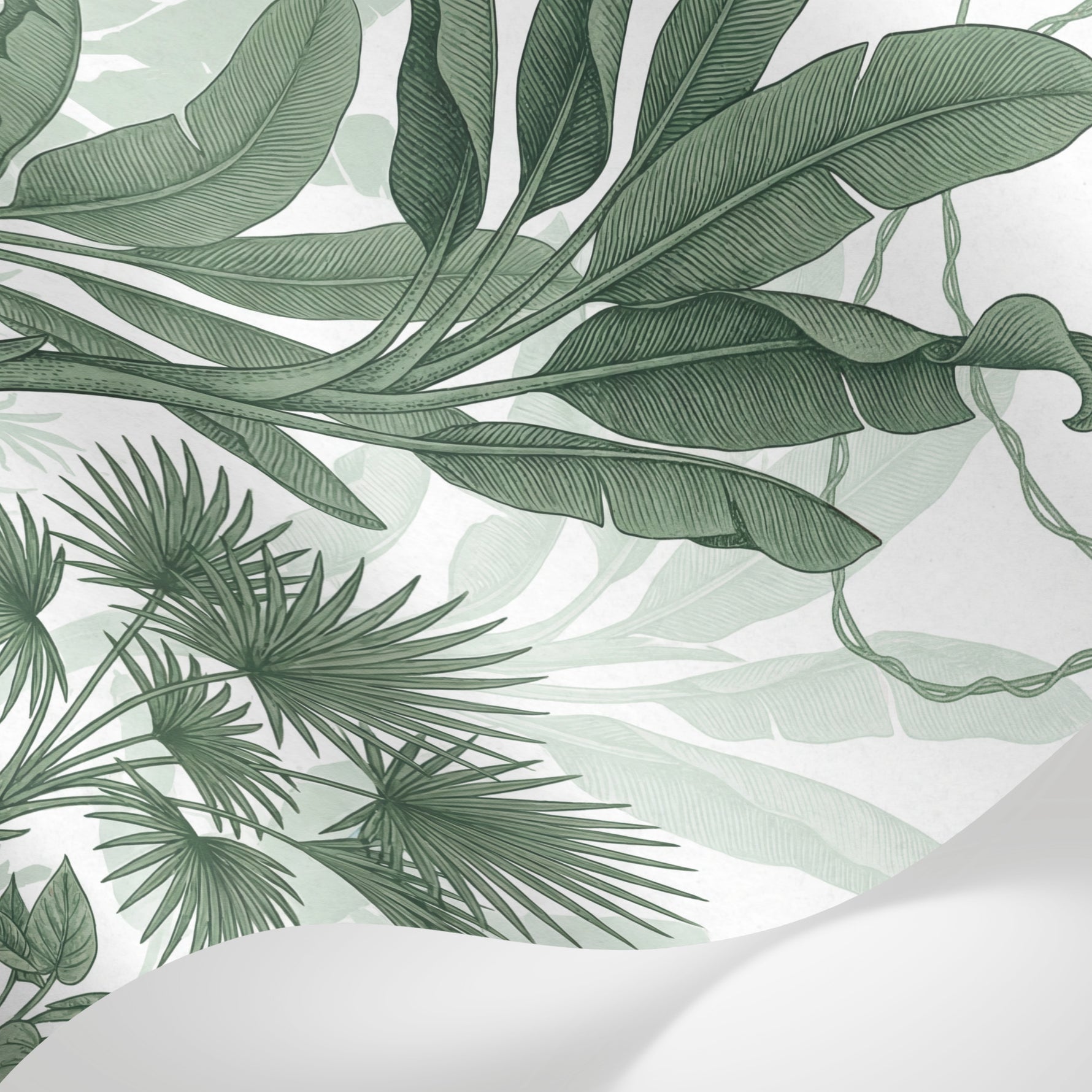 Papier peint panoramique jungle - Palmiers bananiers lianes entrelacées fond blanc crème et vert sauge sur mesure - Matière