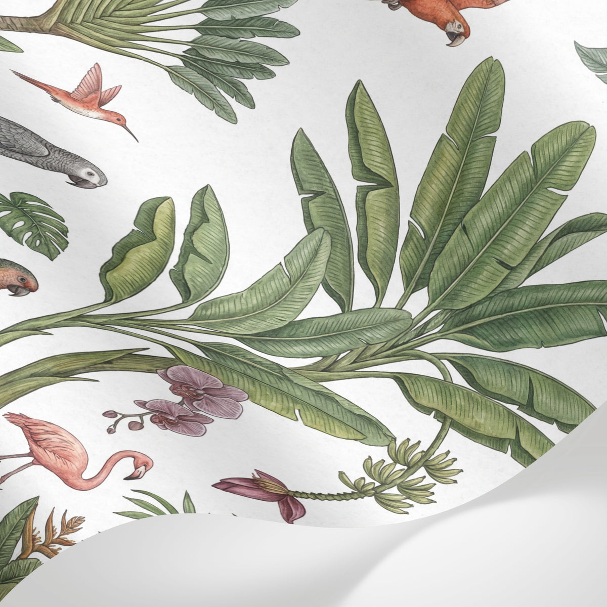 Papier peint panoramique jungle - Palmiers parrots singes flamingo rose orchidées fond blanc crème sur mesure - Matière
