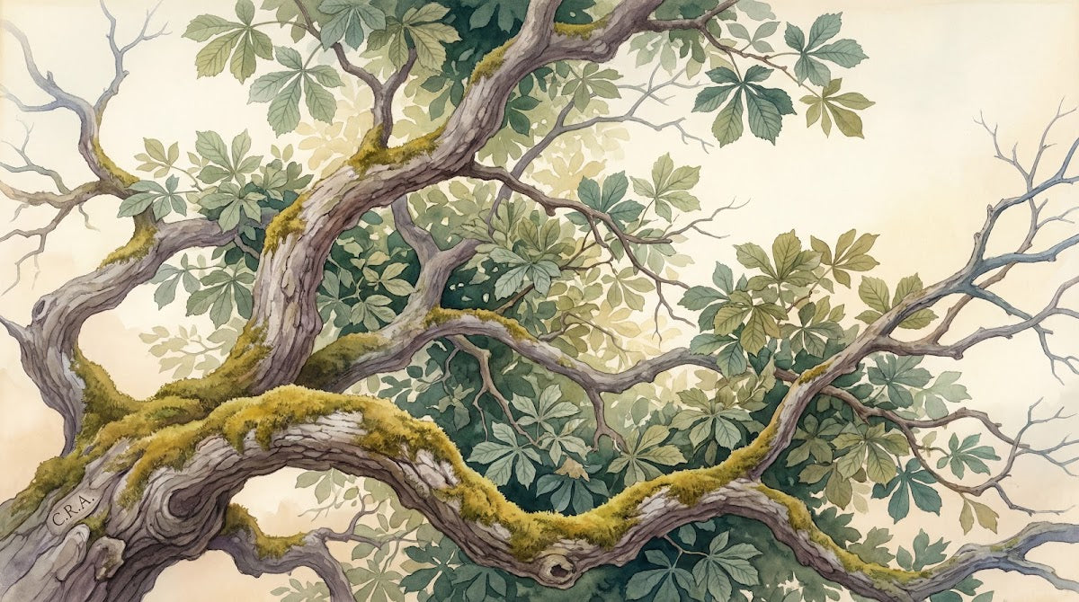 Papier peint panoramique nature - Branches mousses feuillage palmé tons vert sauge beige et brun sur mesure - Design