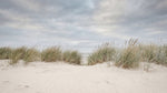 Papier peint panoramique nature - Dunes sableuses herbes sauvages ciel nuageux tons beige sable et vert olive sur mesure - Design