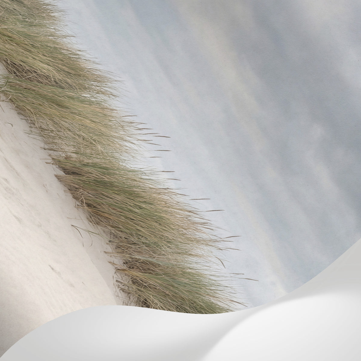 Papier peint panoramique nature - Dunes sableuses herbes sauvages ciel nuageux tons beige sable et vert olive sur mesure - Matière