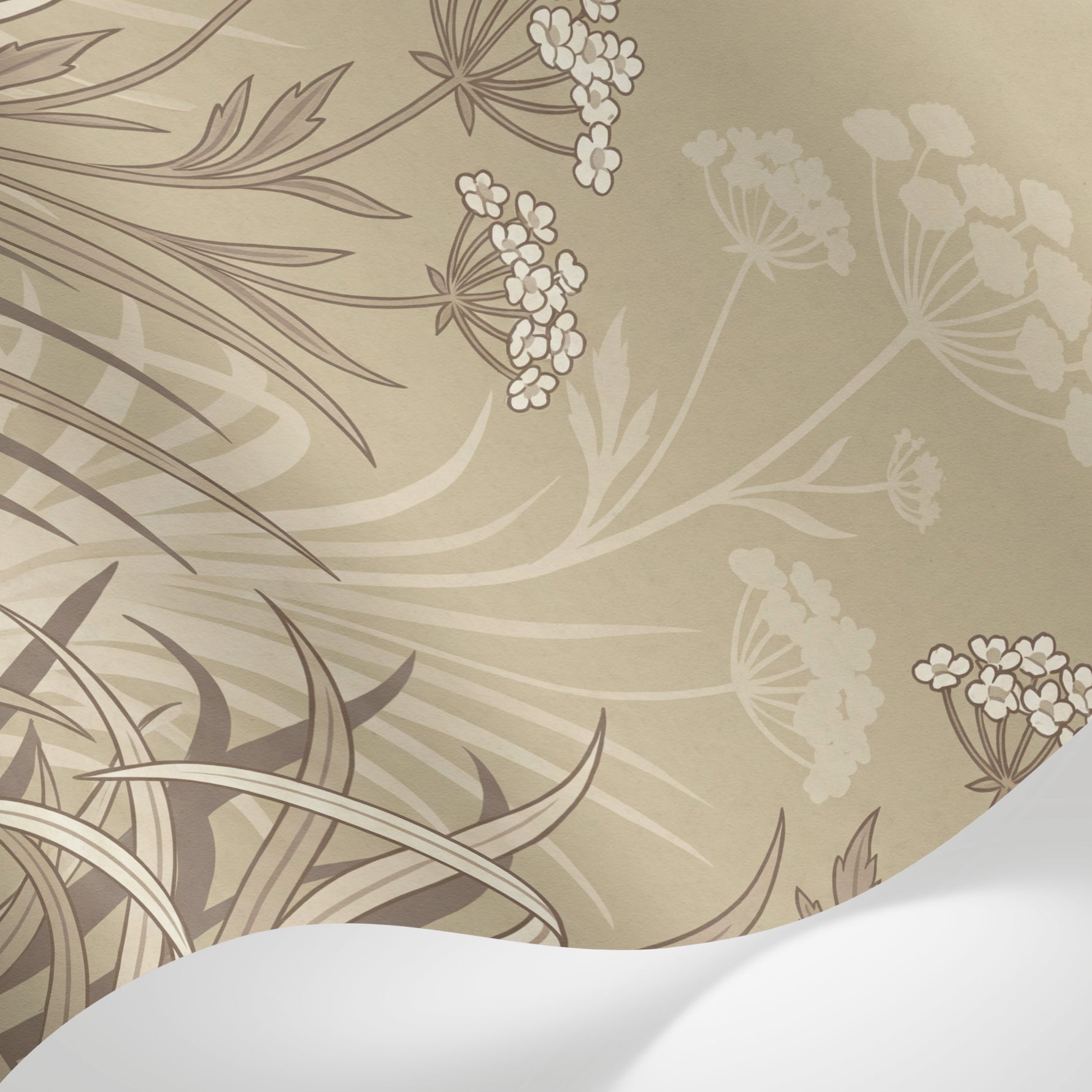 Papier peint panoramique nature - Fleurs sauvages ombellifères graminées fond beige naturel sur mesure - Matière