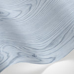 Papier peint panoramique nature - Veines bois organiques ondulantes tons bleu gris et blanc crème sur mesure - Matière