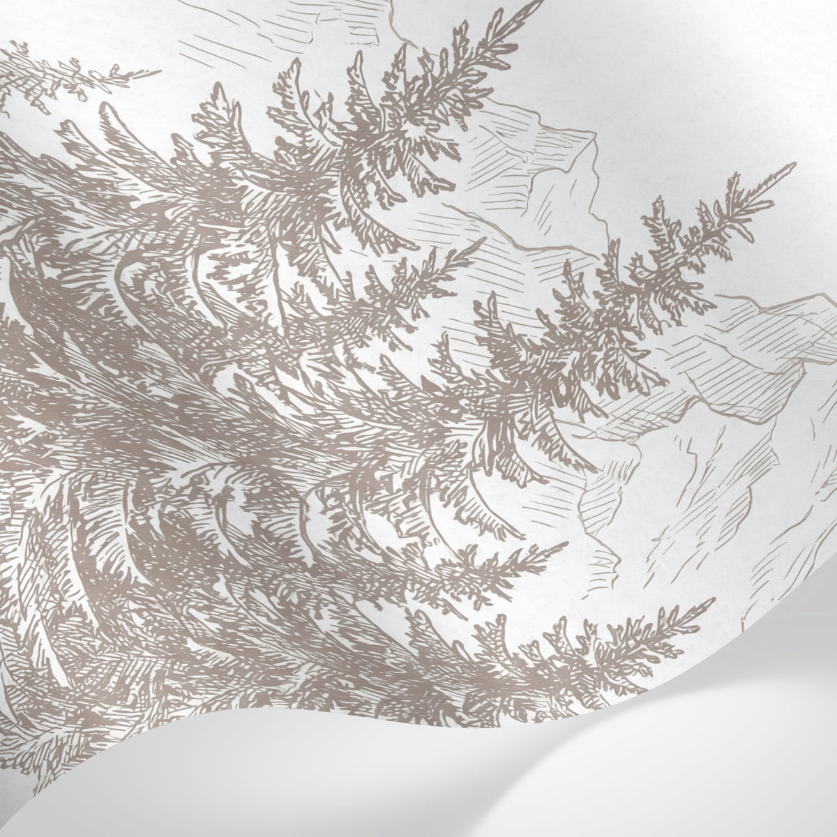 Papier peint panoramique pin - Sapins montagne dessin gravure tons beige et blanc crème sur mesure - Matière