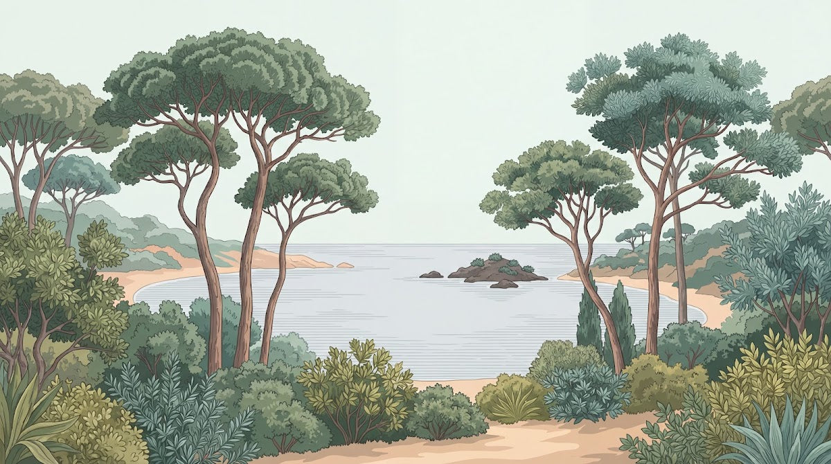 Papier peint panoramique pins parasol - Baie méditerranéenne côtière rochers affleurants tons vert sauge et beige sur mesure - Design