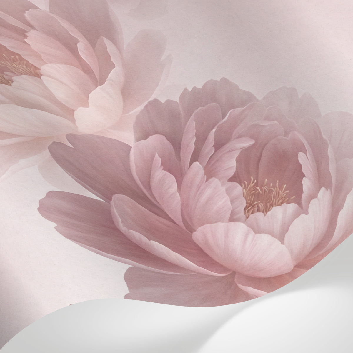 Papier peint panoramique pivoine - Fleurs délicates multicouches pétales soyeux tons rose poudré et beige crème sur mesure - Matière
