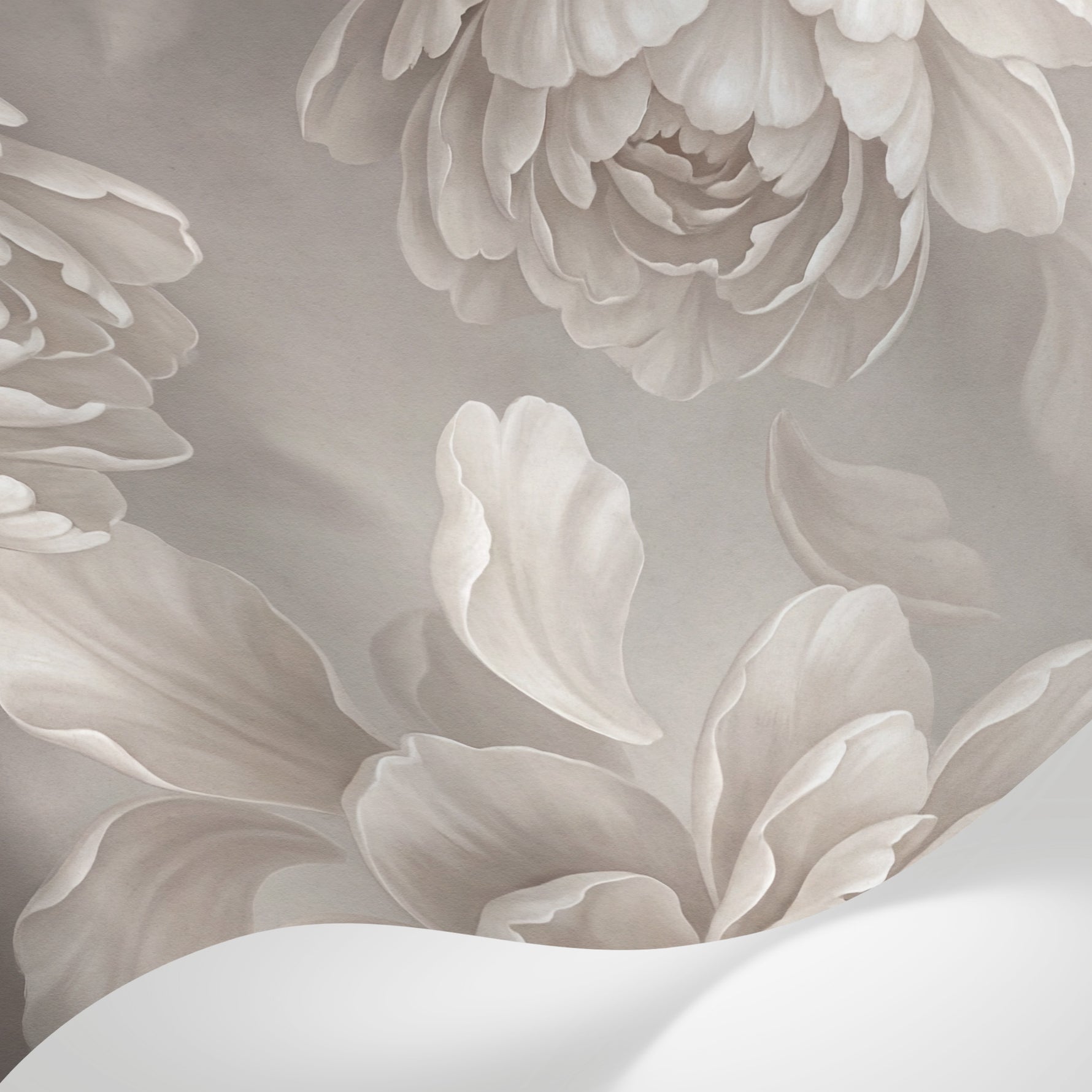 Papier peint panoramique pivoine - Fleurs doubles pétales superposés tons beige rosé et blanc crème sur mesure - Matière