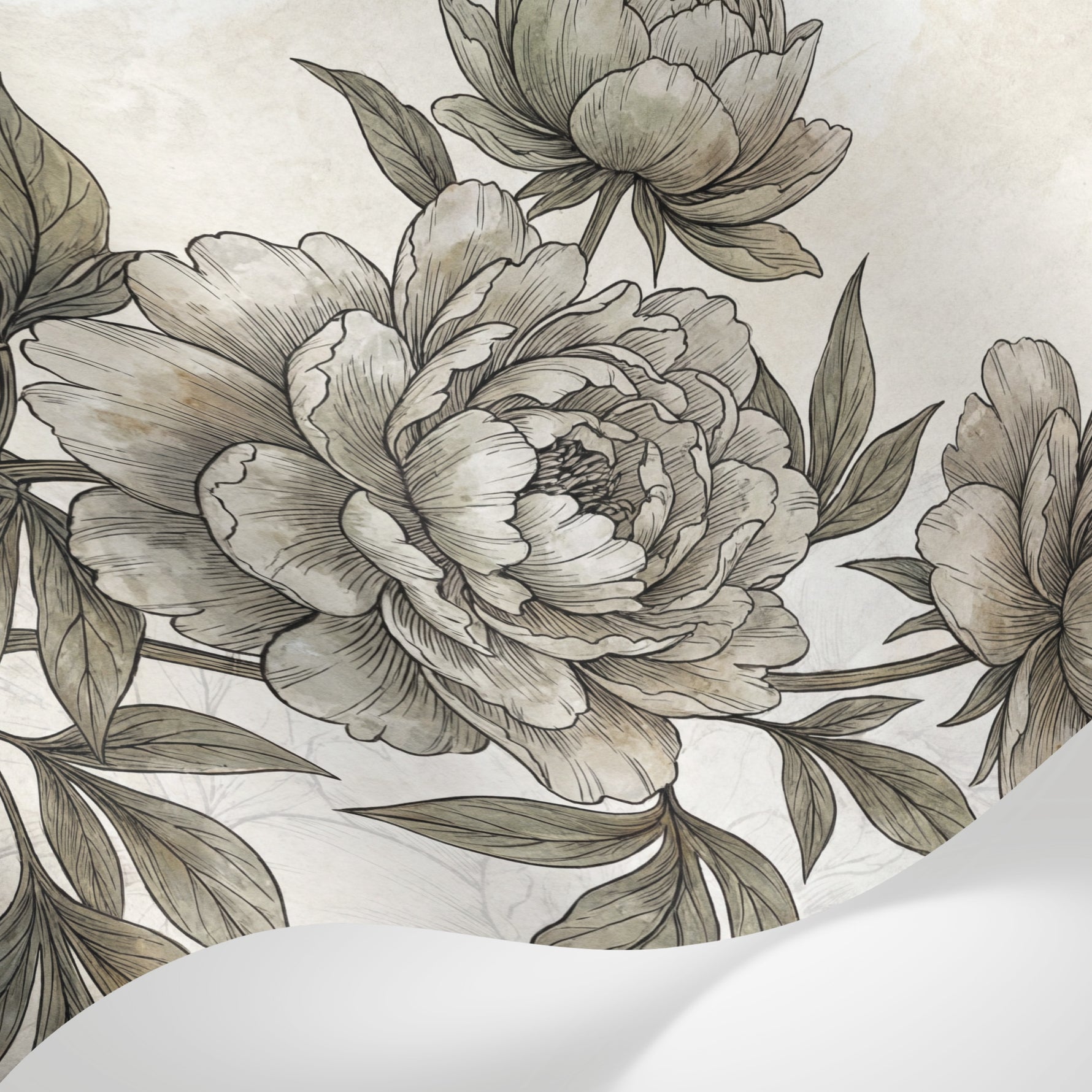 Papier peint panoramique pivoine - Pivoines délicates feuillage détaillé gravure beige et gris sur mesure - Matière