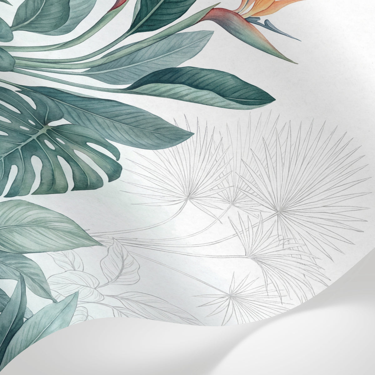Papier peint panoramique tropical - Oiseaux paradis bananier feuillage exotique fond blanc crème et vert sauge sur mesure - Matière