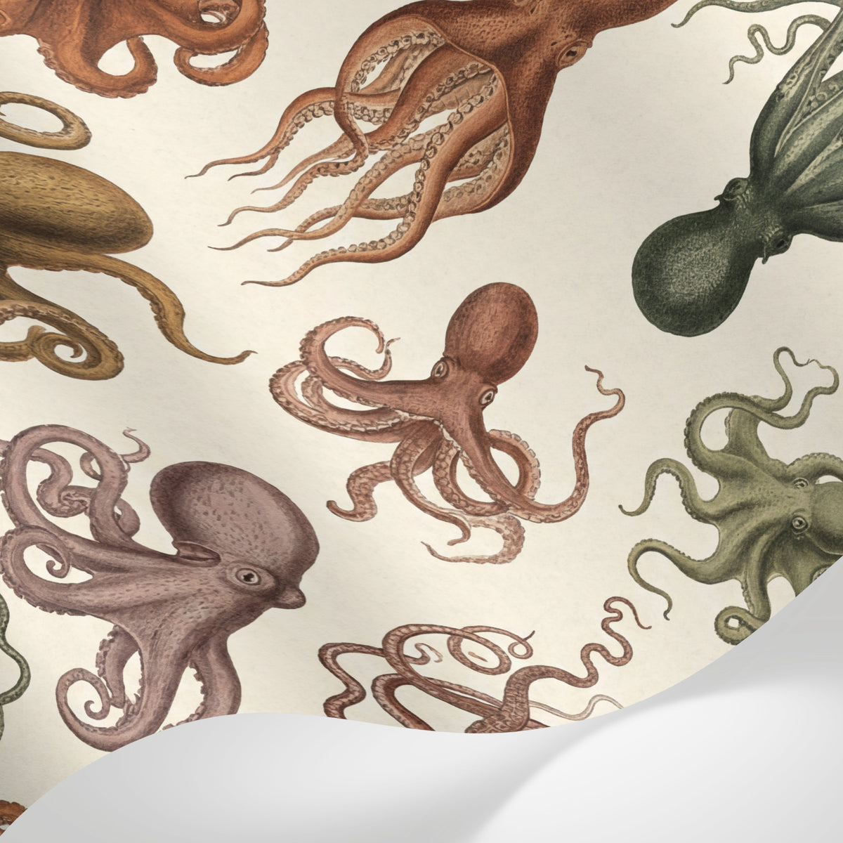 Papier peint panoramique pieuvre - Poulpes calmars tentacules répétitifs tons beige rouille et vert olive sur mesure - Matière