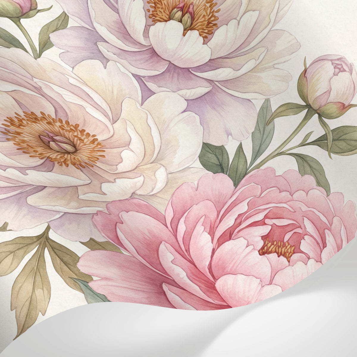 Papier peint panoramique pivoine rose - Pivoines délicates dégradé blanc nacré corail et bordeaux feuillage vert sauge sur mesure - Matière