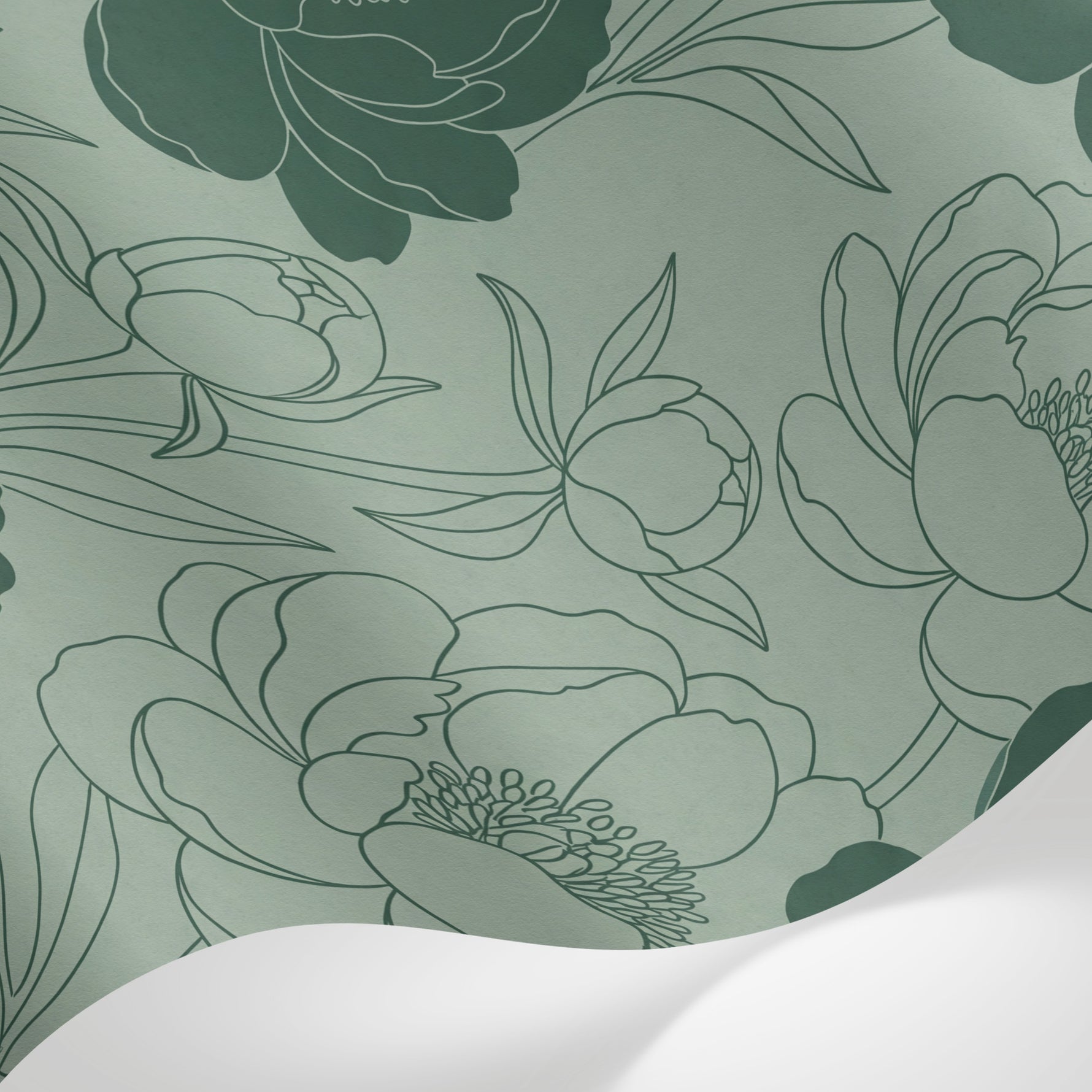 Papier peint panoramique pivoines - Fleurs tracées stylisées feuillage ornemental fond vert sauge et blanc cassé sur mesure - Matière