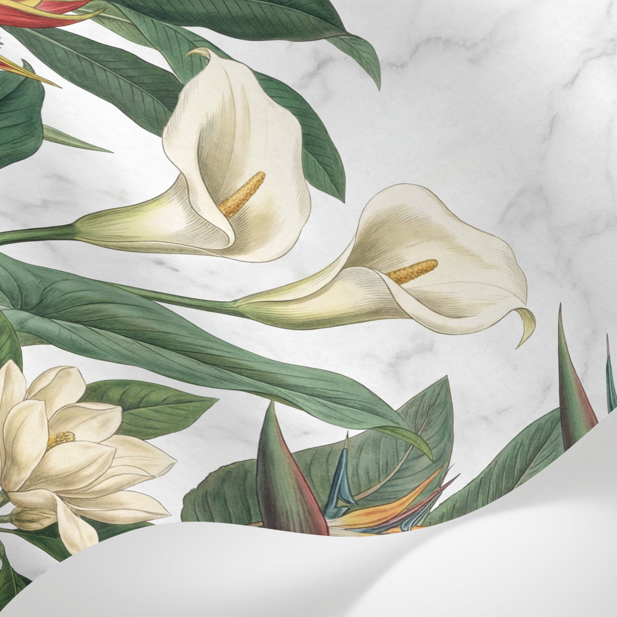 Papier peint panoramique tropical chic - Oiseaux paradis arums fleurs exotiques feuillage fond blanc marbré sur mesure - Matière