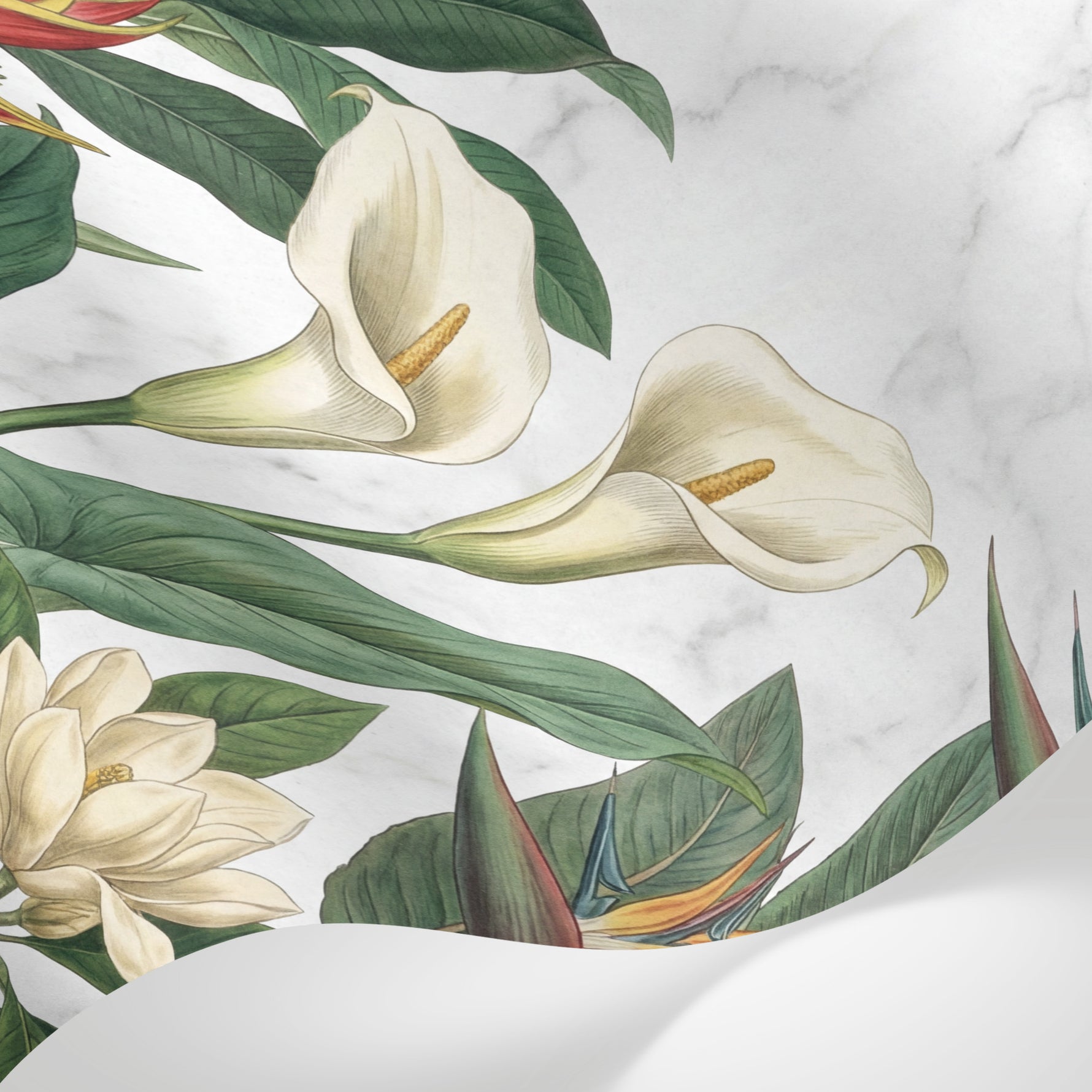 Papier peint panoramique tropical chic - Oiseaux paradis arums fleurs exotiques feuillage fond blanc marbré sur mesure - Matière